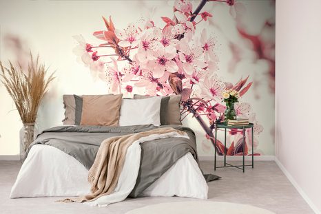 CARTA DA PARATI – FIORI DI CILIEGIO ROSA - CARTA DA PARATI CON FIORI - CARTA DA PARATI