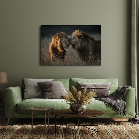 OBRAZ LVI V AFRICKÉ SAVANĚ - OBRAZY LVI A TYGŘI - OBRAZY