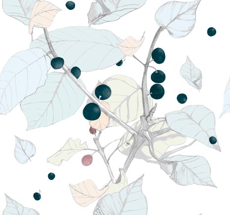 WALLPAPER GRAPE BERRIES - WALLPAPERS NATURE - WALLPAPERS