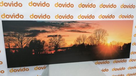 TABLOU APUS DE SOARE FRUMOS - TABLOU NATURĂ ȘI PEISAJE NATURALE - TABLOURI