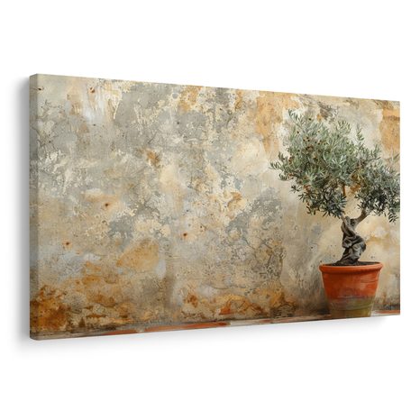 SLIKA SOBNA MASLINA UZ ZID - SLIKE MRTVE PRIRODE - SLIKE