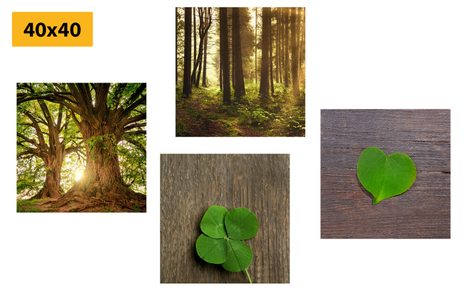 BILDER-SET HAUCH VON NATUR - BILDERSETS - BILDER