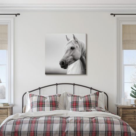WANDBILD MAJESTÄTISCHES WEISSES PFERD - BILDER VON PFERDEN - BILDER
