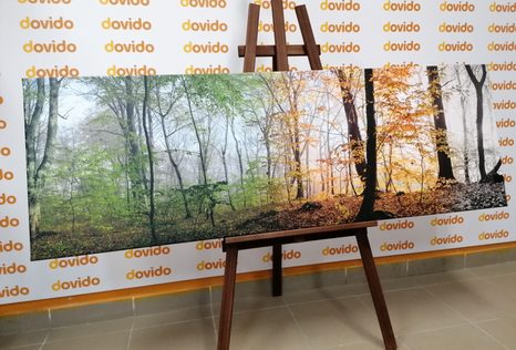 CANVAS PRINT FOUR SEASONS - PICTURES - 🔥 TOTAL SALE 🔥