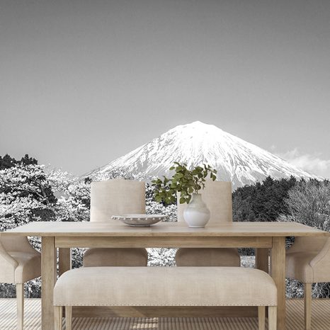 SELF ADHESIVE WALL MURAL MOUNT FUJI IN BLACK AND WHITE - SELF-ADHESIVE WALLPAPERS - WALLPAPERS