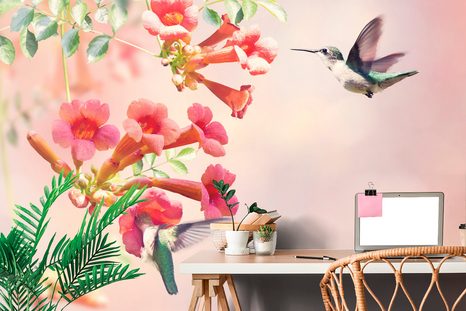 SELBSTKLEBENDE TAPETE ANFLUG DER KOLIBRIS - SELBSTKLEBENDE TAPETEN - TAPETEN