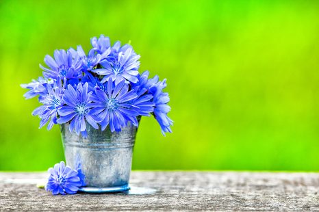 FOTOTAPETA KVĚTINY V KBELÍKU - TAPETY KVĚTINY - TAPETY