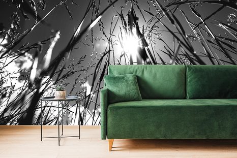 CARTA DA PARATI – ERBA DI CAMPO IN BIANCO E NERO - CARTA DA PARATI BIANCO E NERO - CARTA DA PARATI