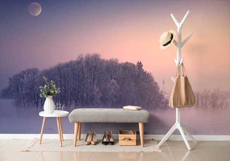 TAPETA ÚPLNĚK MĚSÍCE NAD VESNICÍ - TAPETY PŘÍRODA - TAPETY