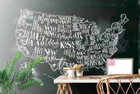 SAMOLEPÍCÍ TAPETA NAUČNÁ MAPA USA S JEDNOTLIVÝMI STÁTY - SAMOLEPÍCÍ TAPETY - TAPETY
