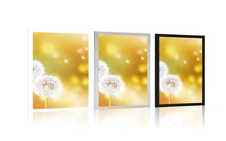 PLAGÁT PÚPAVA - KVETY - PLAGÁTY