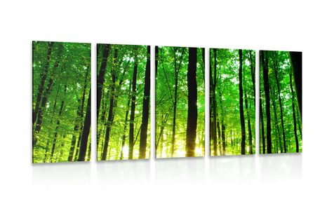 QUADRO IN 5 PARTI FORESTA VERDE - QUADRI DI NATURA E PAESAGGIO - QUADRI