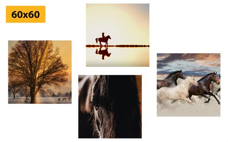 BILDER-SET FÜR PFERDELIEBHABER - BILDERSETS - BILDER