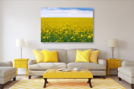 OBRAZ ŽLUTÉ POLE - OBRAZY PŘÍRODY A KRAJINY - OBRAZY