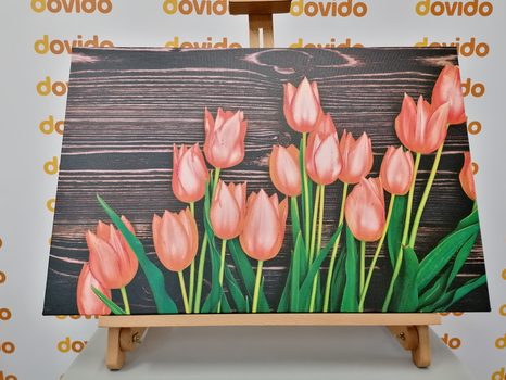 KÉP ELBŰVÖLŐ NARANCSSÁRGA TULIPÁNOK FÁBÓL KÉSZÜLT HÁTTÉREN - KÉPEK - 🔥 TELJES KIÁRUSÍTÁS