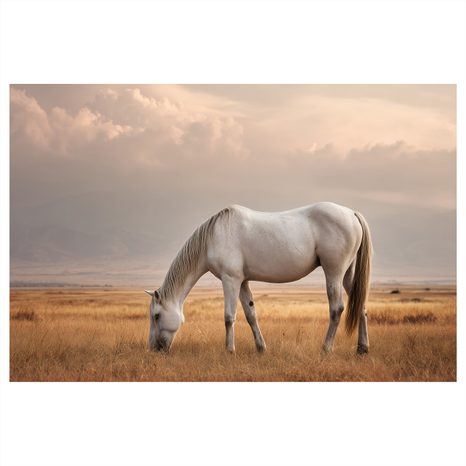 TABLEAU SUR TOILE – CHEVAL PAISIBLE DANS LE PRÉ - TABLEAUX DE CHEVAUX - TABLEAUX