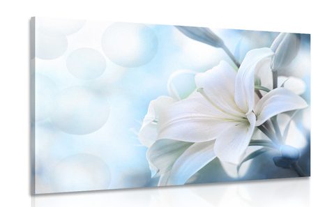 PICTURE WHITE LILY FLOWER ON AN ABSTRACT BACKGROUND