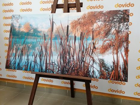 КАРТИНА НА ПЛАТНО – РЕКА В ЕСЕННА ПРИРОДА - КАРТИНИ НА ПРИРОДАТА И ПЕЙЗАЖИ - КАРТИНИ