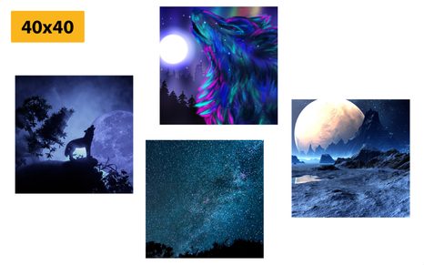 KOMPLET SLIK SKRIVNOSTNI VOLK - KOMPLETI SLIK - SLIKE