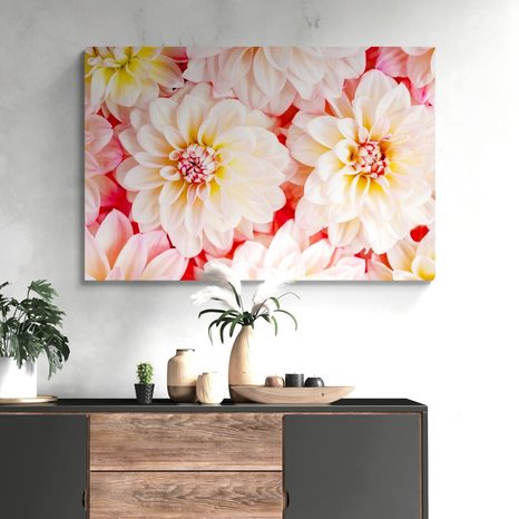 OBRAZ NĚŽNÉ KVĚTY JIŘINY - OBRAZY KVĚTŮ - OBRAZY