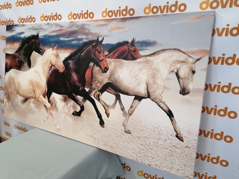 КАРТИНА НА ПЛАТНО – СТАДО КОНЕ - КАРТИНИ НА ЖИВОТНИ - КАРТИНИ