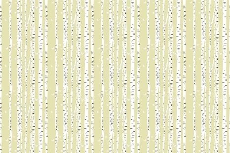 TAPETA BŘEZOVÝ LES - TAPETY PŘÍRODA - TAPETY