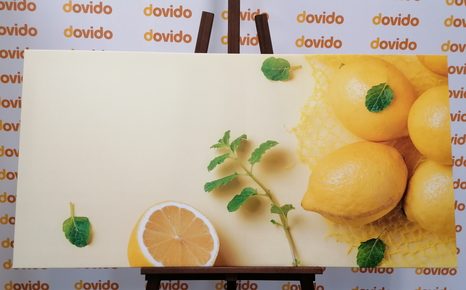 WANDBILD ZITRONEN MIT MINZE - BILDER VON ESSEN UND GETRÄNKEN - BILDER