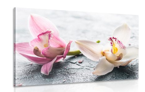 CANVAS PRINT TWO COLORFUL ORCHID FLOWERS - PICTURES FLOWERS - PICTURES