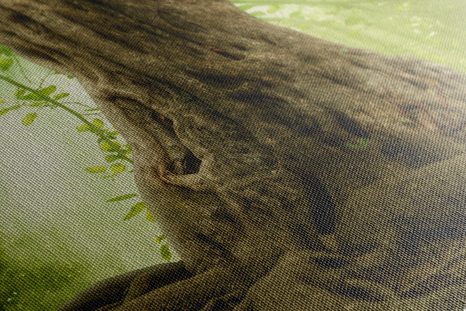 SLIKA KROŠNJA DREVESA - SLIKE NARAVE IN POKRAJINE - SLIKE