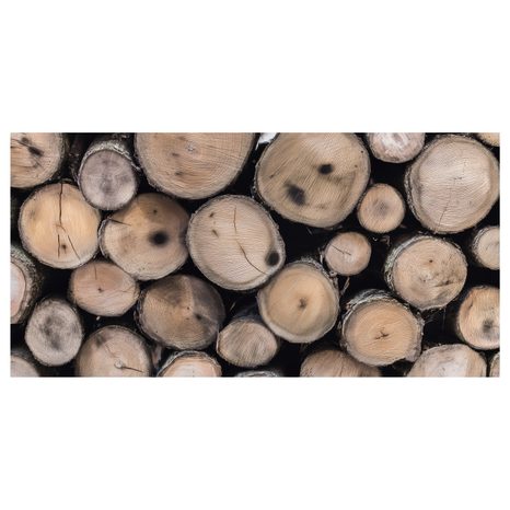 QUADRO SU TELA – STRUTTURA DEI TRONCHI DI LEGNO - QUADRI ALBERI E FOGLIE - STAMPE E QUADRI