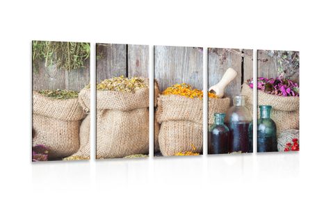 5-PIECE CANVAS PRINT MEDICINAL HERBS - PICTURES OF FOOD AND DRINKS - PICTURES