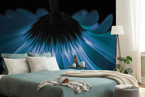 SAMOLEPÍCÍ FOTOTAPETA MODRÁ GERBERA - SAMOLEPÍCÍ TAPETY - TAPETY