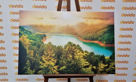 КАРТИНА НА ПЛАТНО – РЕКА В ЗЕЛЕНА ГОРА - КАРТИНИ НА ПРИРОДАТА И ПЕЙЗАЖИ - КАРТИНИ