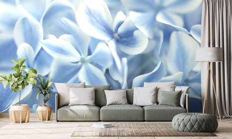 FOTOTAPETA NEBESKÉ KVĚTINY HORTENZIE - TAPETY KVĚTINY - TAPETY