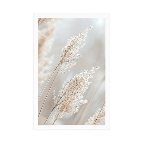 PLAKÁT BÉŽOVÉ TŘTINY - BOTANICKÉ - PLAKÁTY