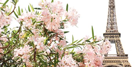 SLIKA EIFFLOV STOLP IN CVETOVI - SLIKE MESTA - SLIKE