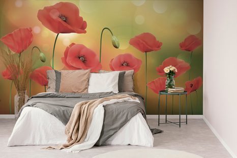 SAMOLEPÍCÍ TAPETA MÁKY V ZÁŘIVÉM SVITU - SAMOLEPÍCÍ TAPETY - TAPETY