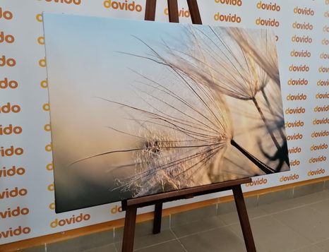 ΕΙΚΌΝΑ ΜΙΑΣ ΠΙΚΡΑΛΊΔΑΣ ΣΕ ΈΝΑ ΧΩΡΆΦΙ ΤΗΝ ΑΝΑΤΟΛΉ ΤΟΥ ΗΛΊΟΥ - ΠΊΝΑΚΕΣ ΑΠΌ ΛΟΥΛΟΎΔΙΑ - ΠΊΝΑΚΕΣ