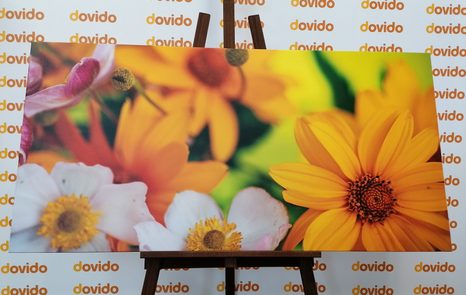 ΕΙΚΌΝΑ ΚΑΛΟΚΑΙΡΙΝΉ ΑΝΘΟΔΈΣΜΗ - ΠΊΝΑΚΕΣ ΑΠΌ ΛΟΥΛΟΎΔΙΑ - ΠΊΝΑΚΕΣ