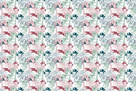 TAPETA RAZNOBOJNI LISTOVI MONSTERE - TAPETE PRIRODA - TAPETE