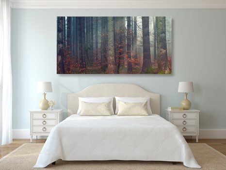 WANDBILD GEHEIMNIS DES WALDES - BILDER VON NATUR UND LANDSCHAFT - BILDER