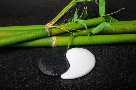 FOTOTAPETA KAMENY VE TVARU JIN A JANG - TAPETY FENG SHUI - TAPETY