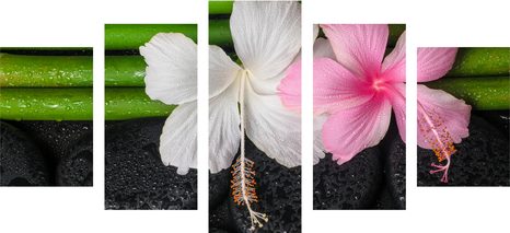 КАРТИНИ ОТ 5 ЧАСТИ – УЕЛНЕС НАТЮРМОРТ - ФЪН ШУЙ КАРТИНИ - КАРТИНИ