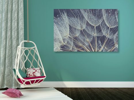 SLIKA JUTRANJA ROSA NA REGRATOVI LUČKI - SLIKE ROŽ - SLIKE