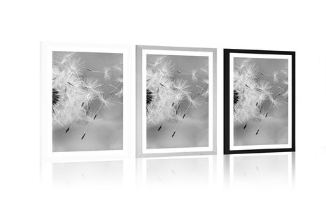 POSTER – DENTE DI LEONE MAGICO IN BIANCO E NERO - NERO E BIANCO - POSTER