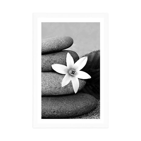 AFFICHE AVEC PASSE-PARTOUT – FLEUR ET PIERRES DANS LE SABLE EN NOIR ET BLANC - NOIR ET BLANC - AFFICHES