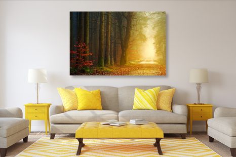 SLIKA GOZDNA POT - SLIKE NARAVE IN POKRAJINE - SLIKE