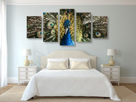 5 RÉSZES KÉP PÁVA SZÉPSÉGE - ÁLLATMINTÁS KÉPEK - KÉPEK