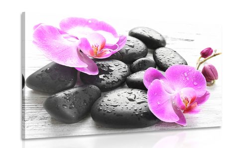 PICTURE BEAUTIFUL INTERPLAY OF STONES AND ORCHIDS