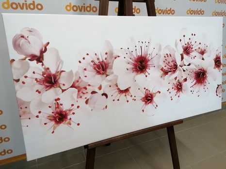 TABLOU FLORI DE CIRES - TABLOU FLORI - TABLOURI